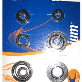 TECNIUM Oliekeerringset (motor) W.822173