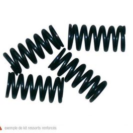 NEWFREN Set Koppelingsveren DERBI SENDA,GPR 50 (4 frictieplaten) CAGIVA MITO 50 MO632F
